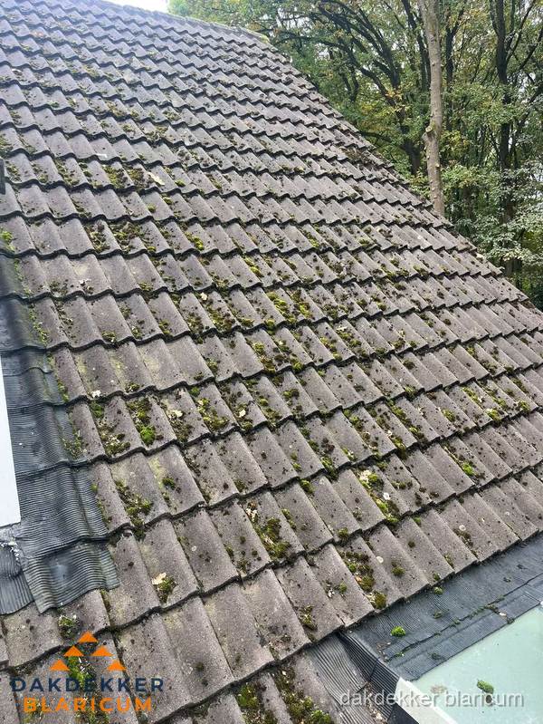 Verweerd pannendak met mosgroei dat renovatie nodig heeft in Blaricum