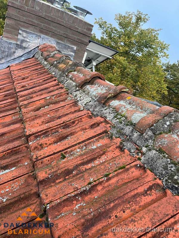 Verweerd hellend dak met mosgroei op nokvorst in Blaricum