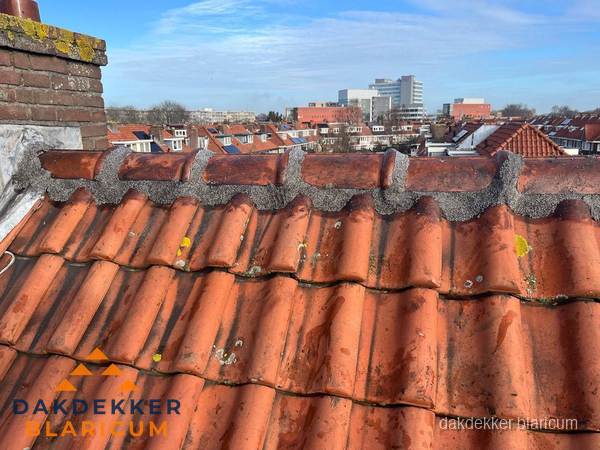 Pannendak met nokvorst en schoorsteen, dakrenovatie in Blaricum