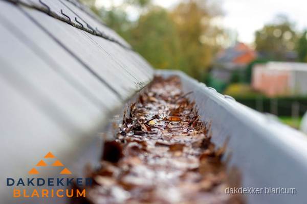 Verstopte dakgoot met bladeren schoonmaken in Blaricum Verstopte dakgoot met bladeren schoonmaken in Blaricum
